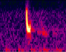 32 frequency bands